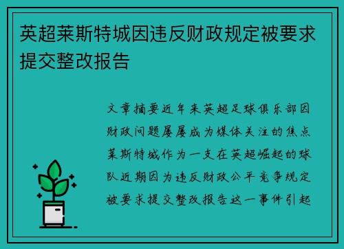 英超莱斯特城因违反财政规定被要求提交整改报告 英超莱斯特城因违反财政规定被要求提交整改报告